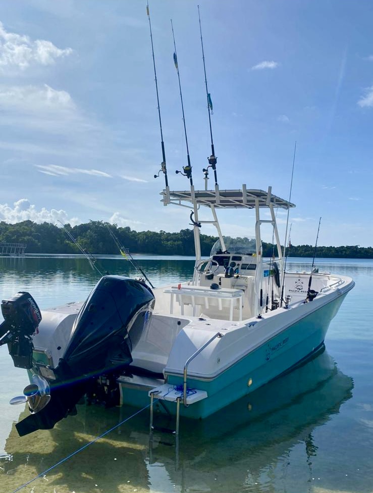 3d104f81-0e62-40df-99fe-446f449f3ed0