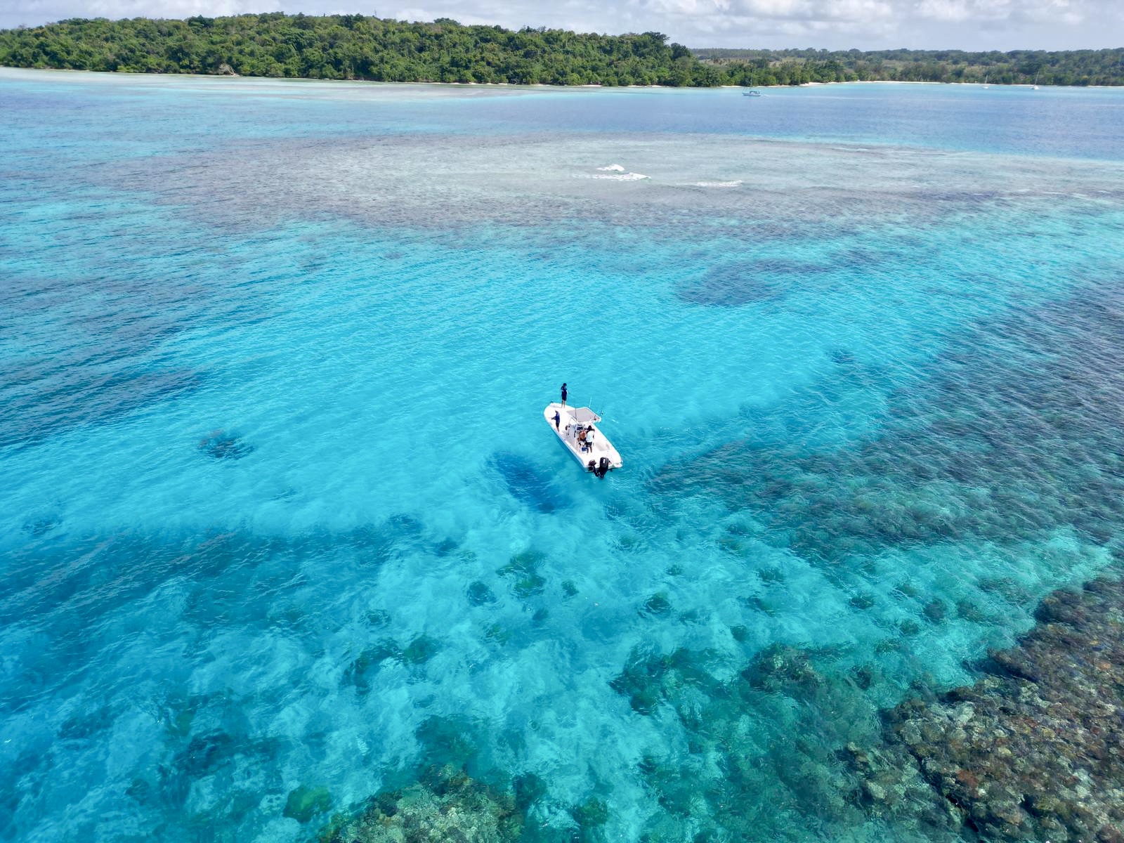 8a24f226-e514-4d1c-af63-1f331d143f38