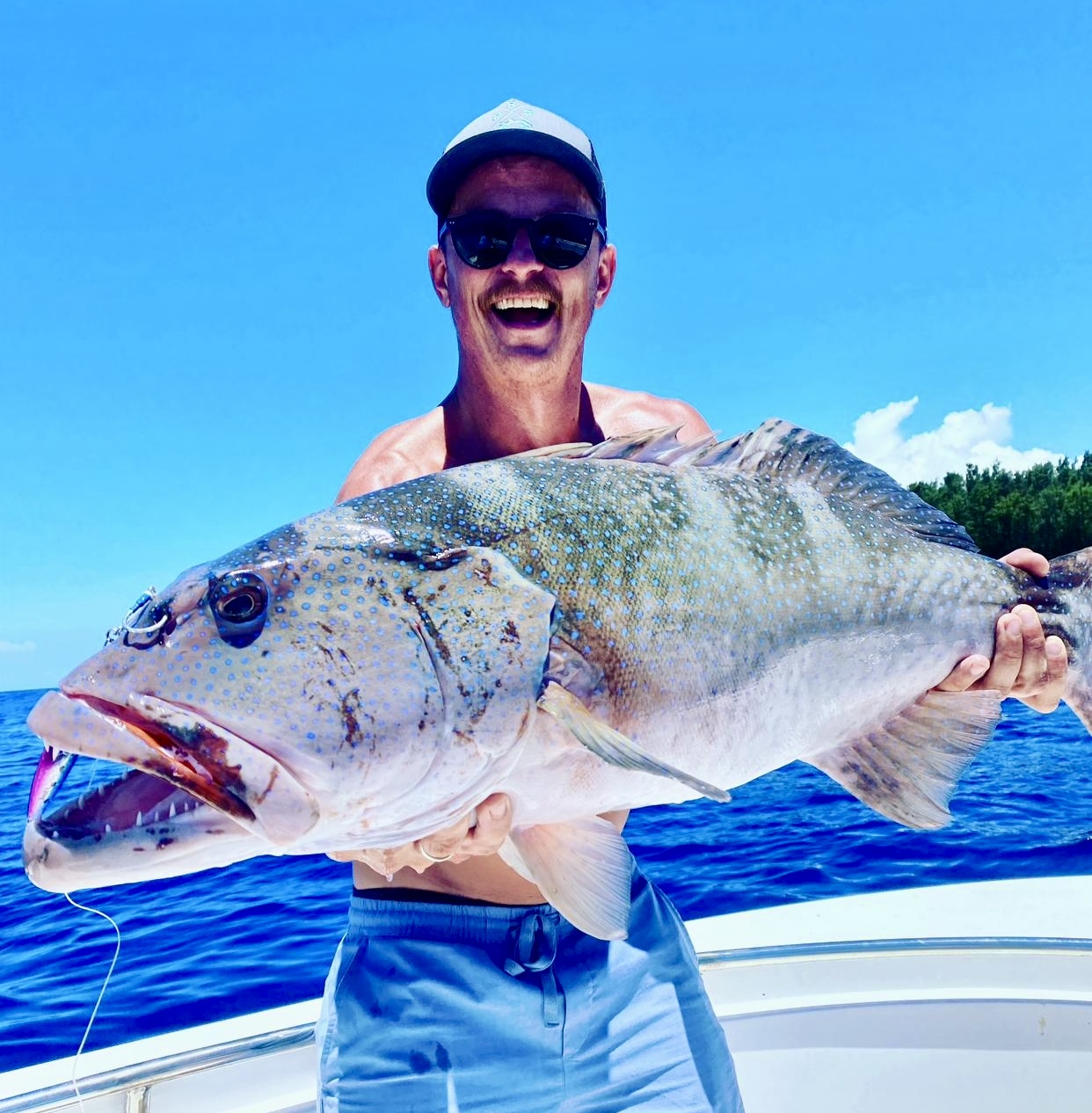 b4bc4822-a442-4355-93c5-66e5a2d5051e