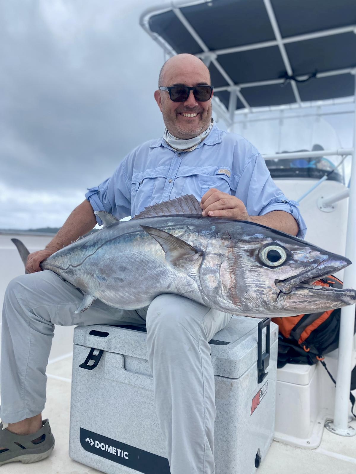 cc99e570-1e07-431a-96c7-1b7c7476cc31