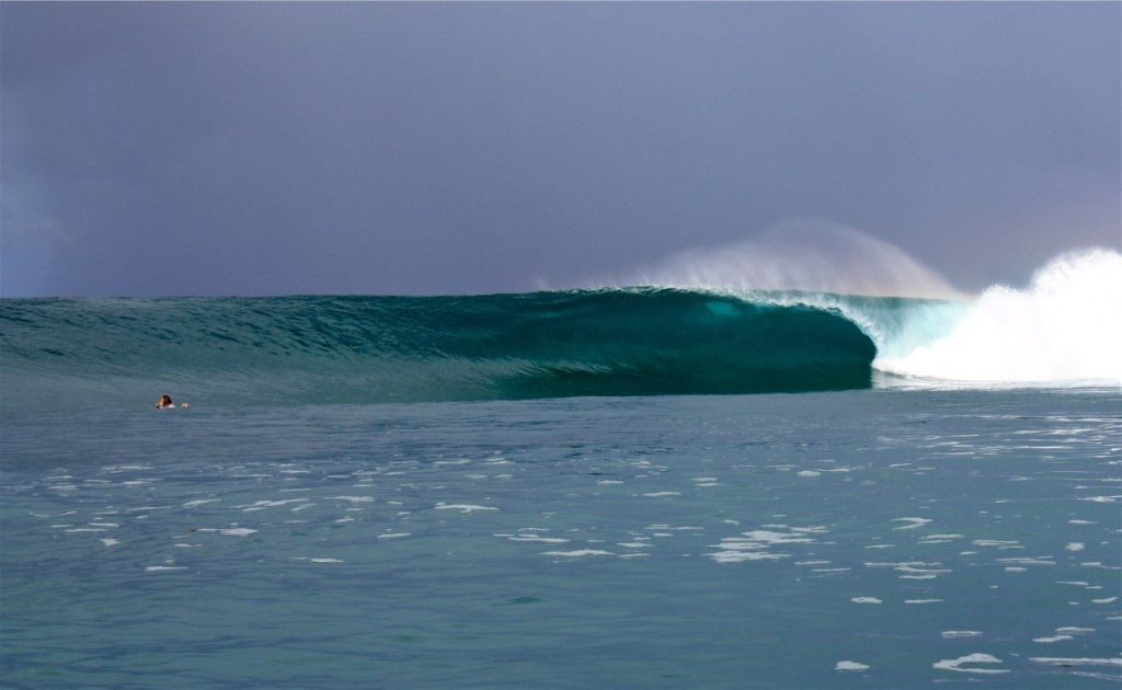 Dany island surfing