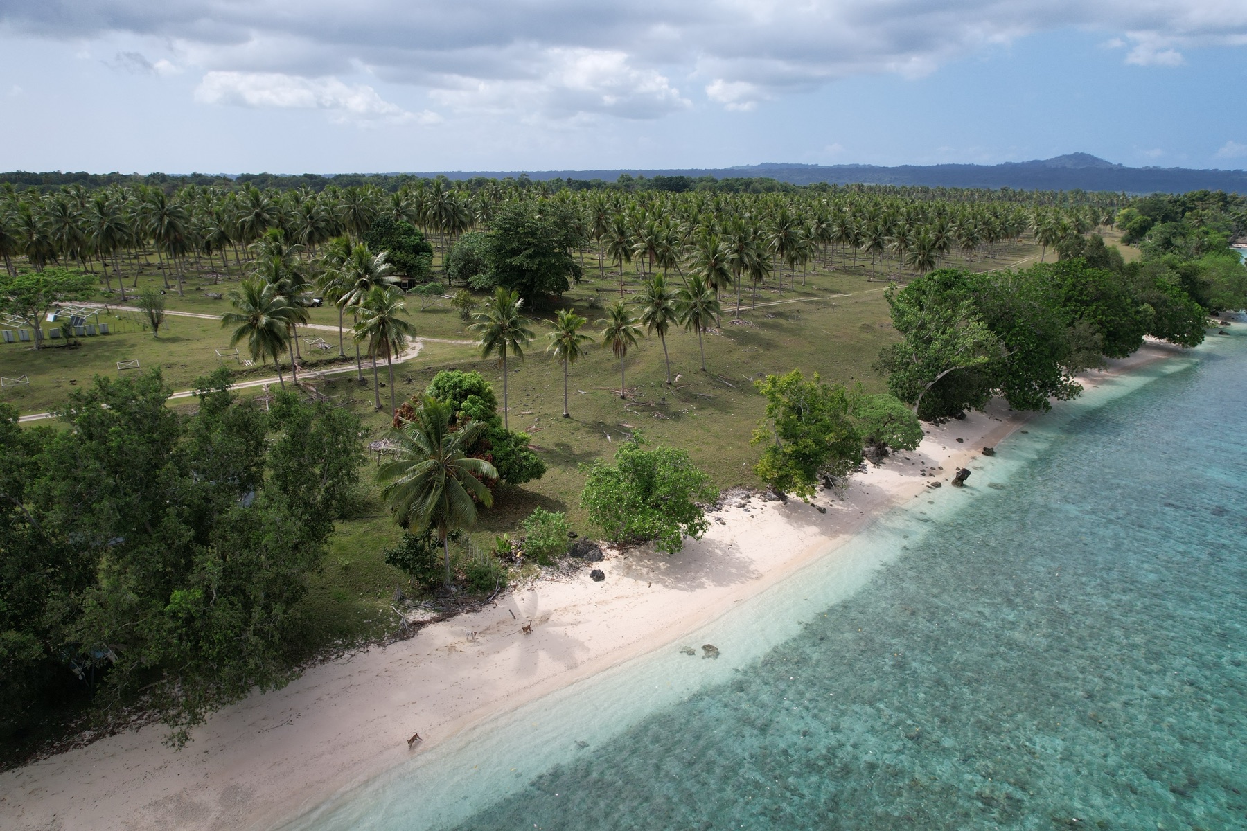 Lapita Beach, Aore Island, Vanuatu — photo 8