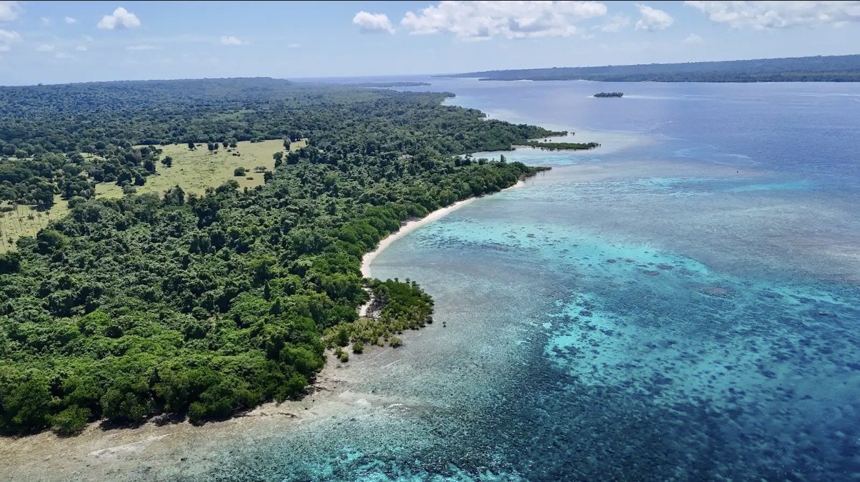 Aerial view of the reef, coral gardens, and forested coastline of the Lapita Beach private marine reserve, Aore Island