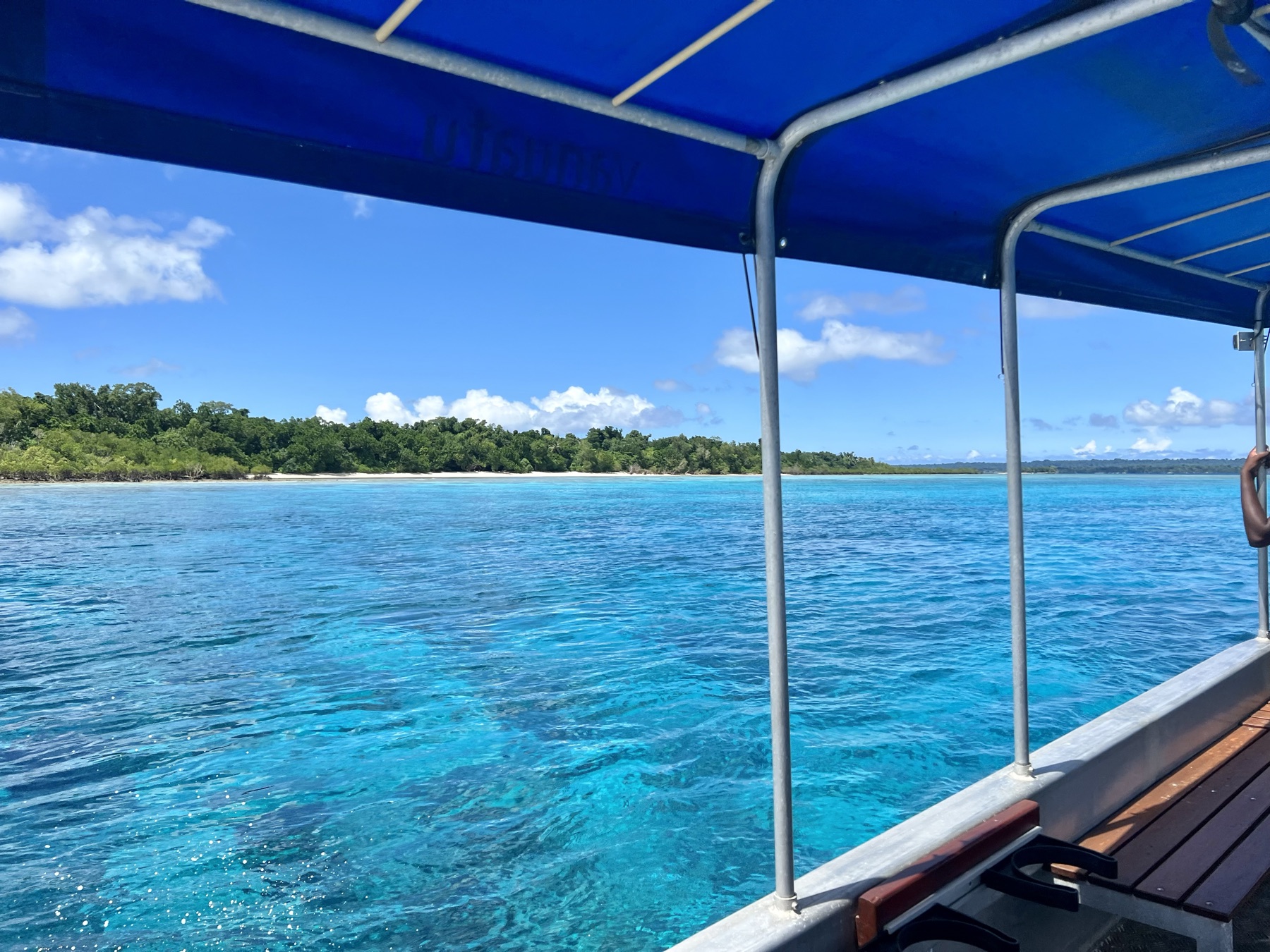 Snorkeller among tropical fish in the Lapita Beach private marine reserve, Nemo Bay 5