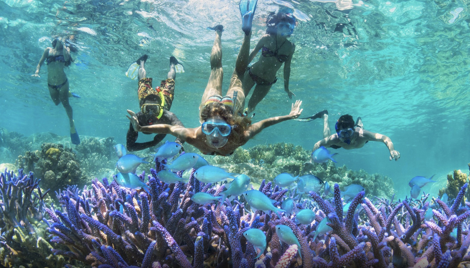 Snorkeller among tropical fish in the Lapita Beach private marine reserve, Nemo Bay 2