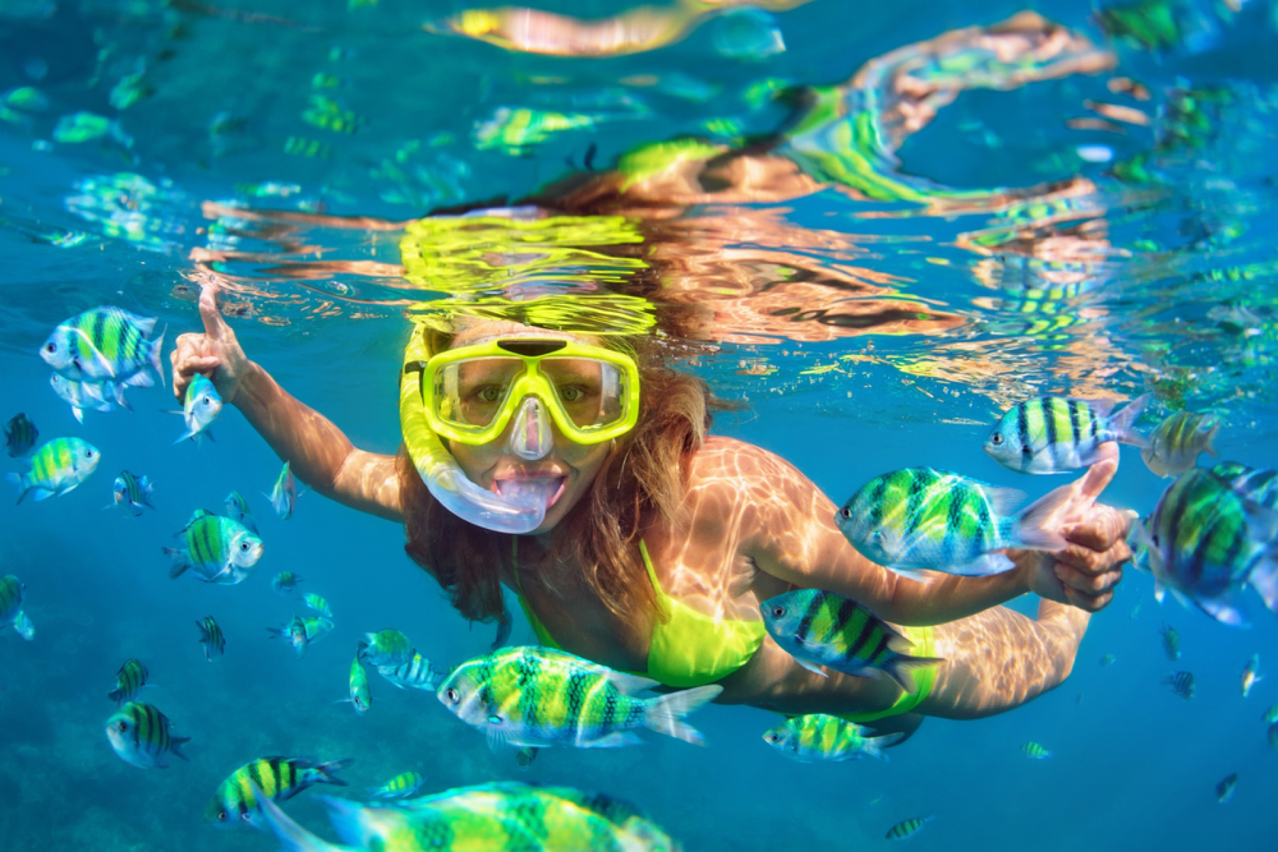 Snorkeller among tropical fish in the Lapita Beach private marine reserve, Nemo Bay